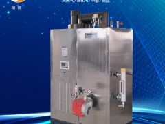 燃油蒸汽發生器